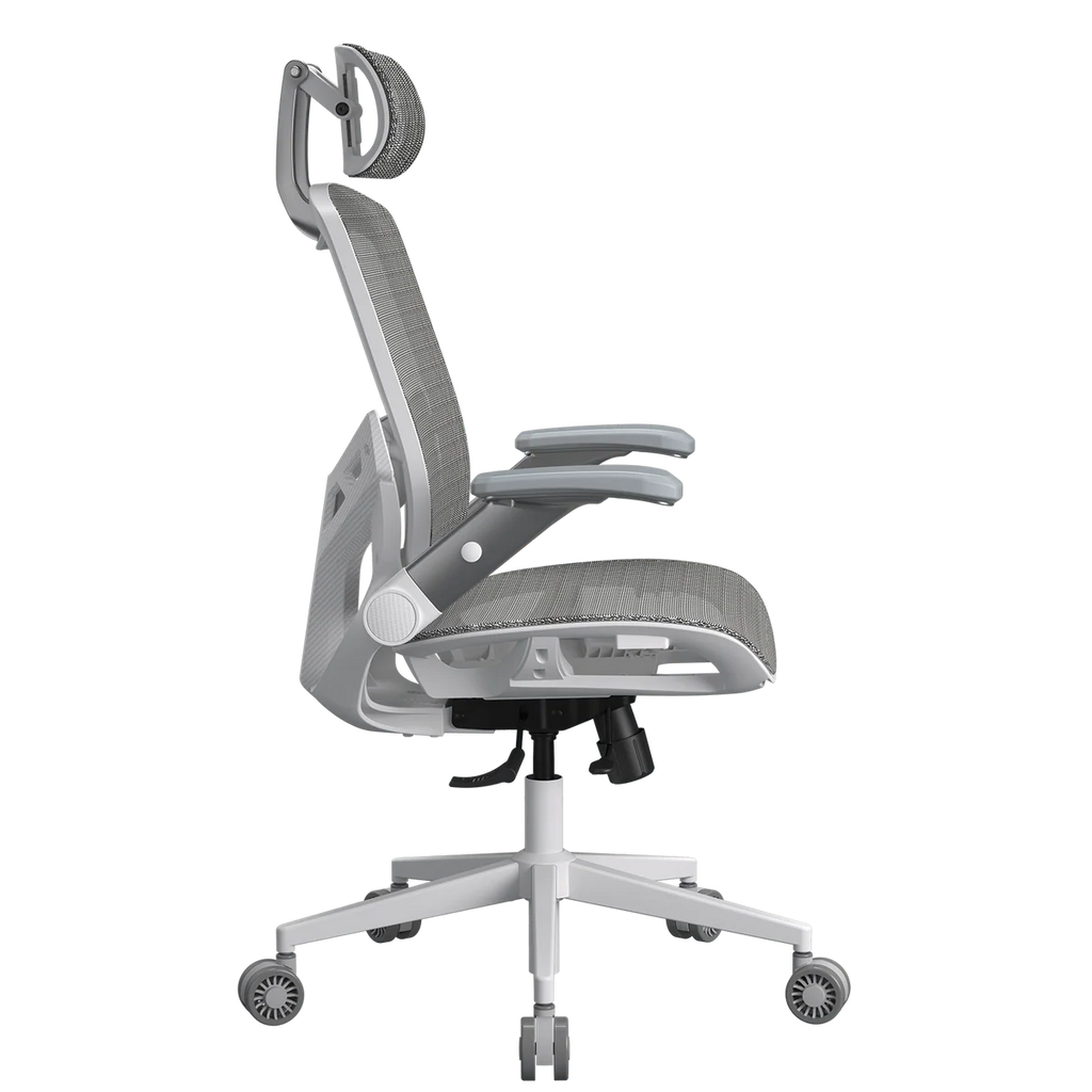 COUGAR Speeder One Ergonomic Chair